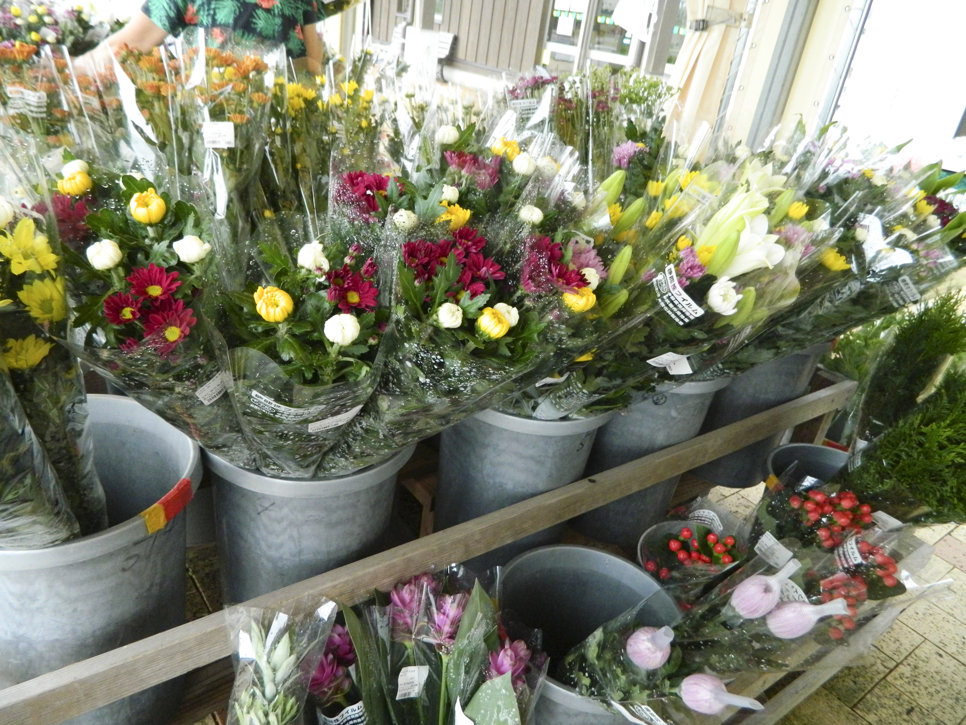 まつもとフレッシュ館お茶畑