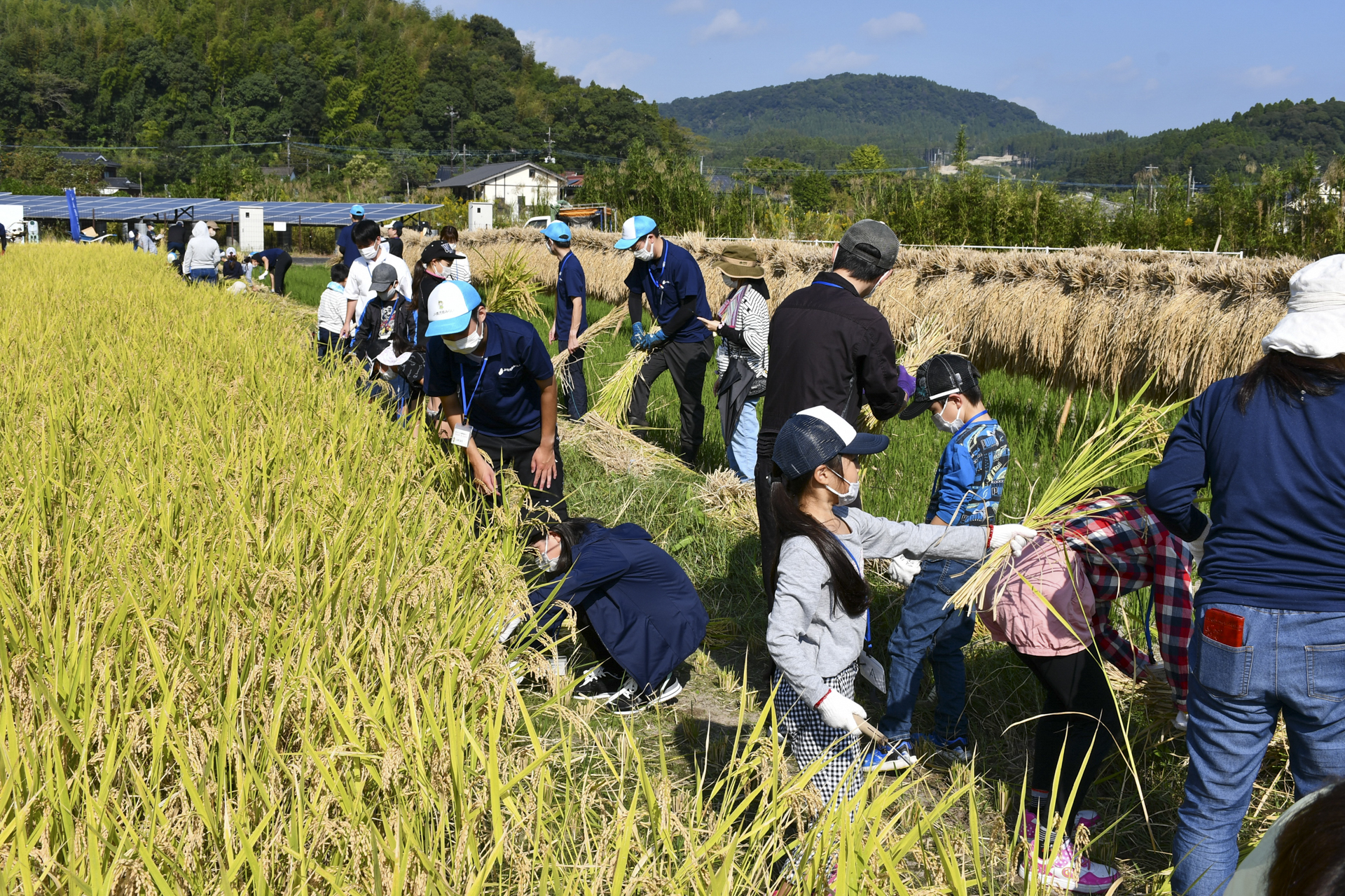 JA鹿児島みらいのアグリスクール