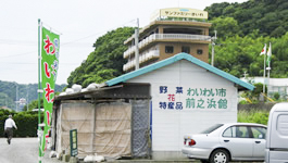 わいわい市前之浜館