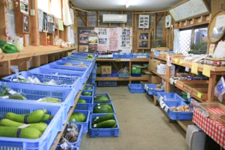 わいわい市前之浜館