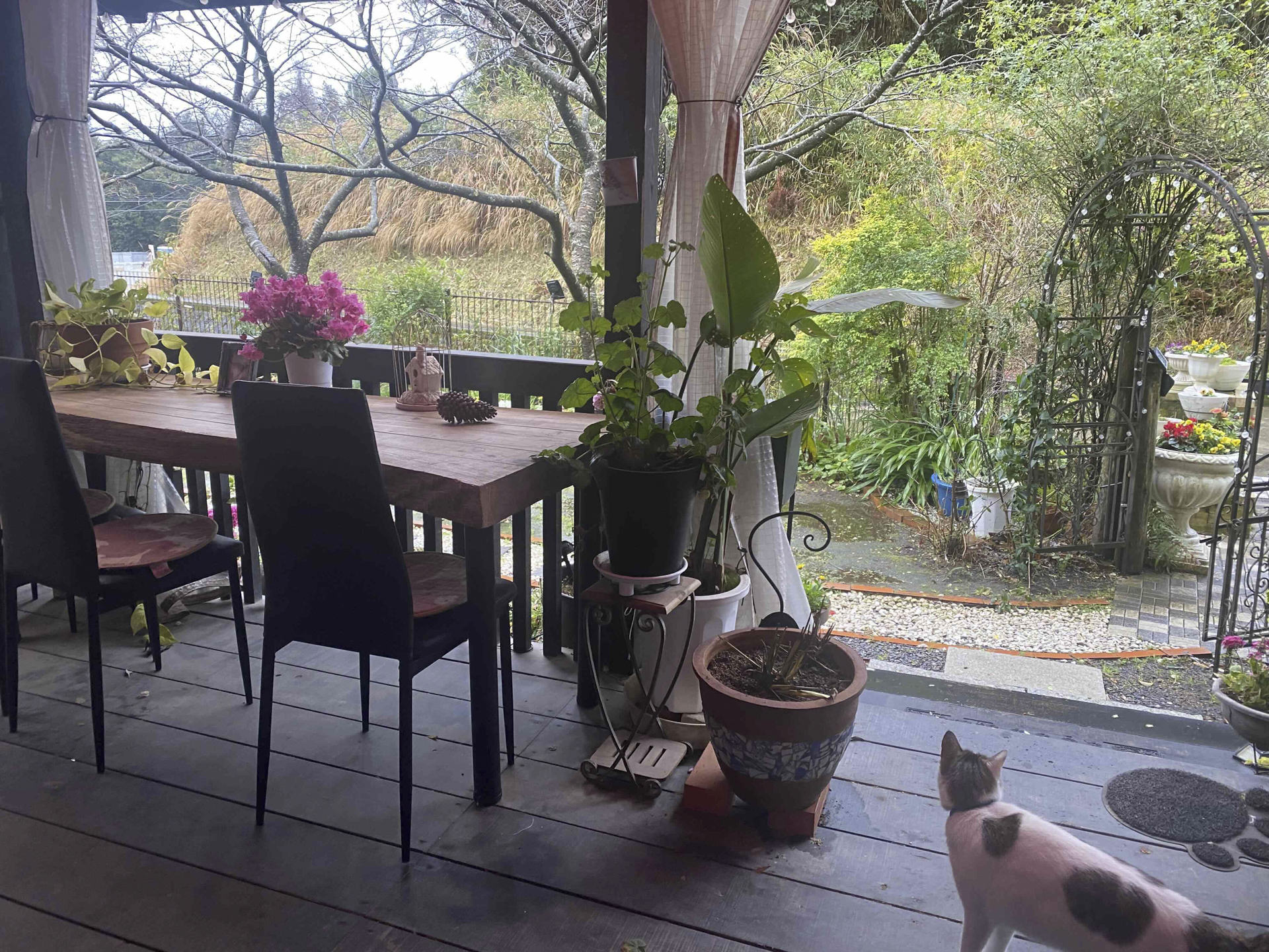 農家民宿　ニャンバーワン