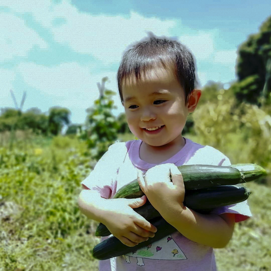 暮らしの畑屋のおと