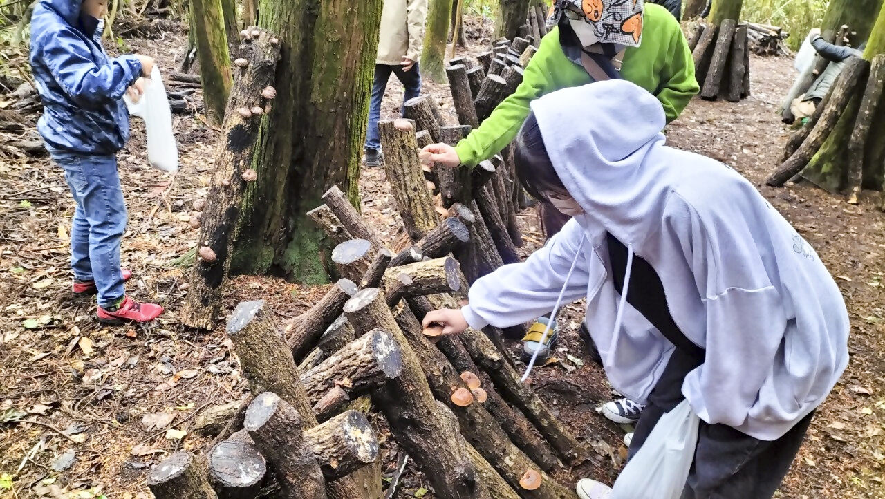 もりはやし倶楽部