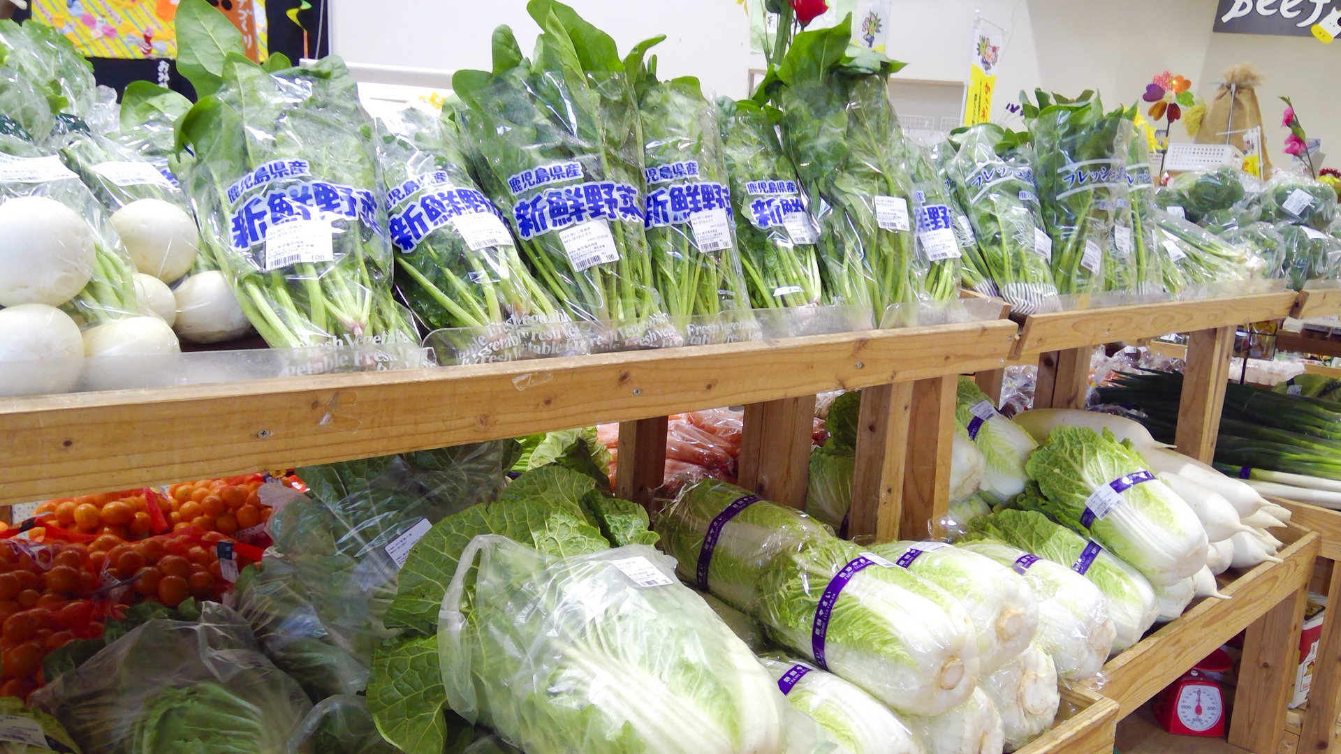 まつもとフレッシュ館お茶畑