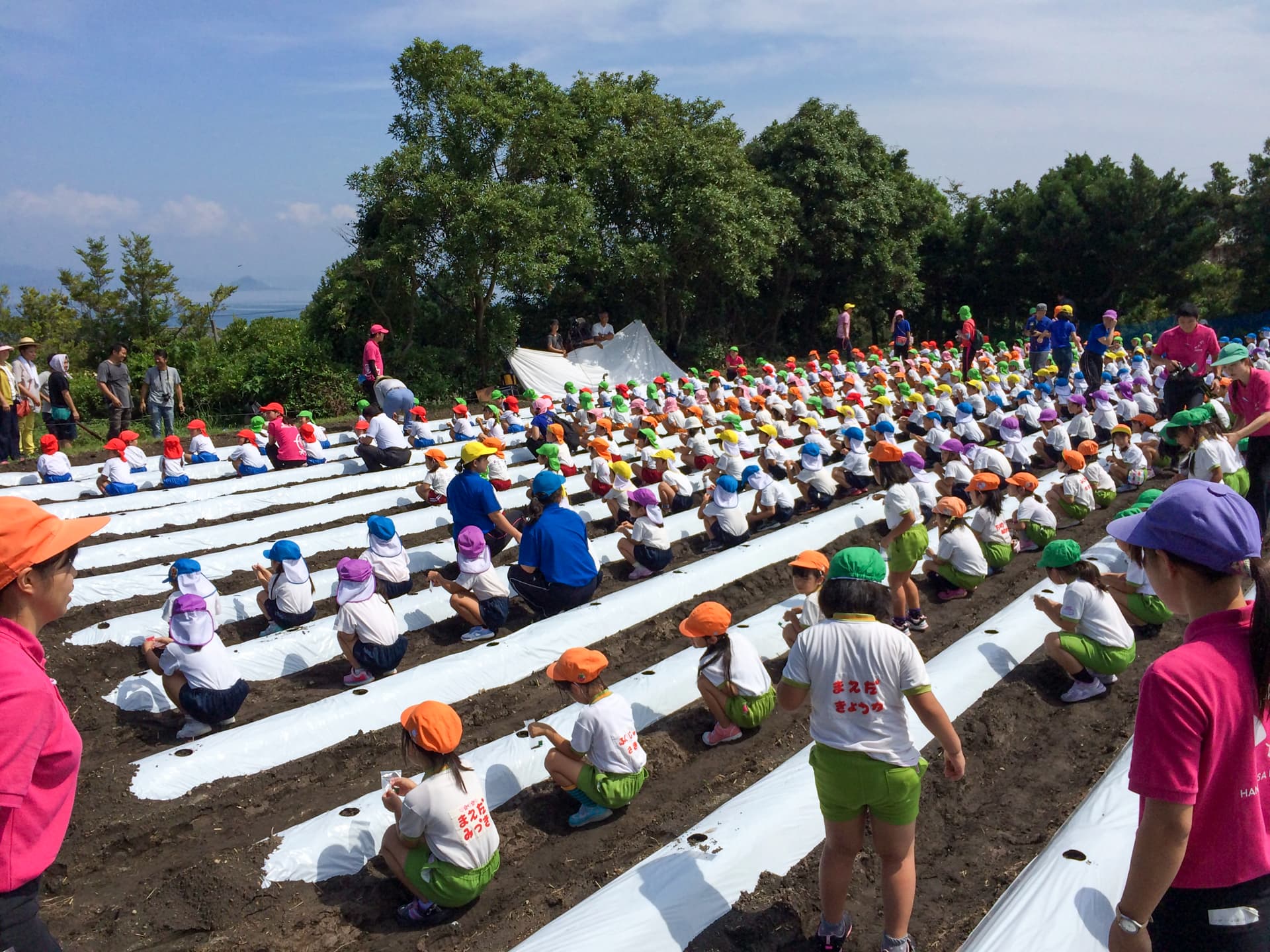 ファームランド櫻島（さくらじま）