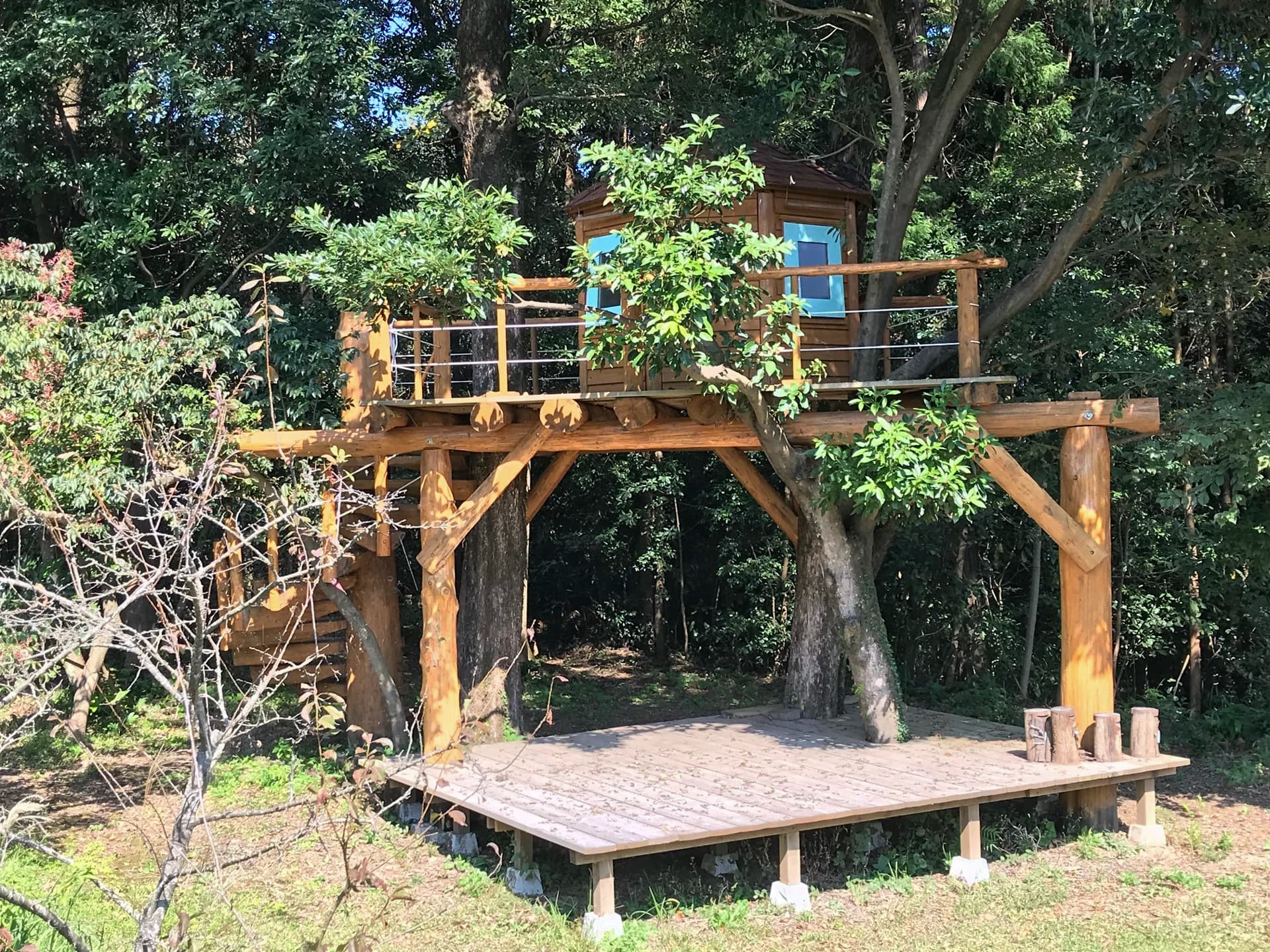 よしだ自遊の森