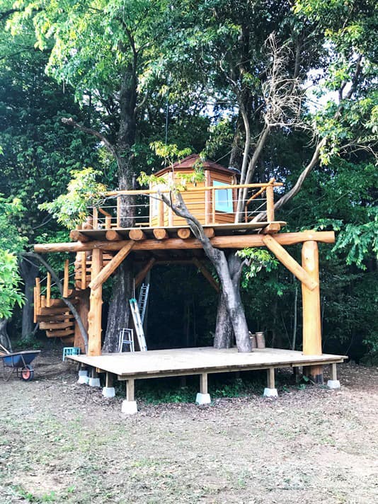 自然・体感　よしだ自遊の森