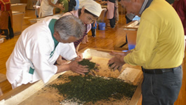 茶手もみ素人教室