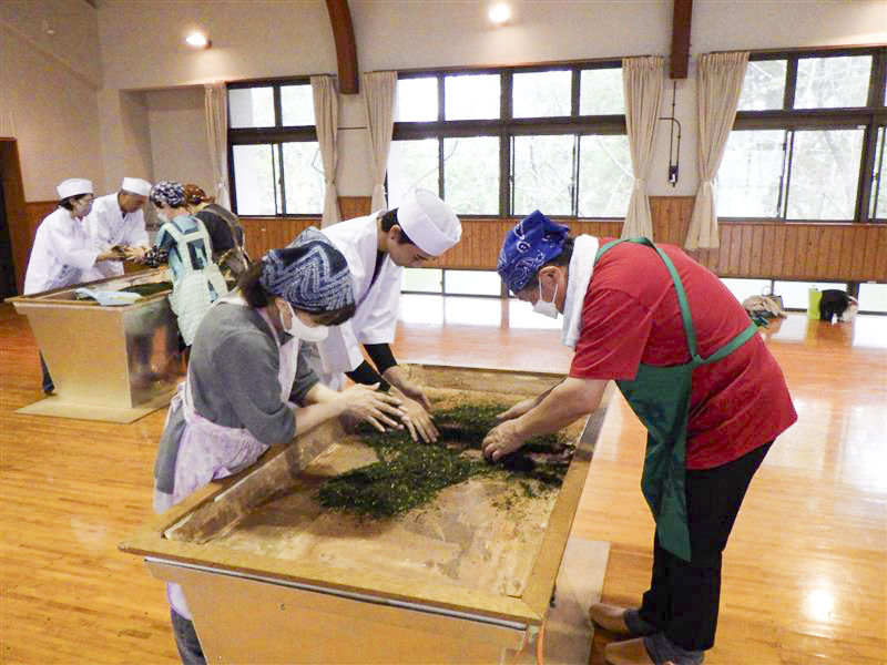 茶手もみ素人教室