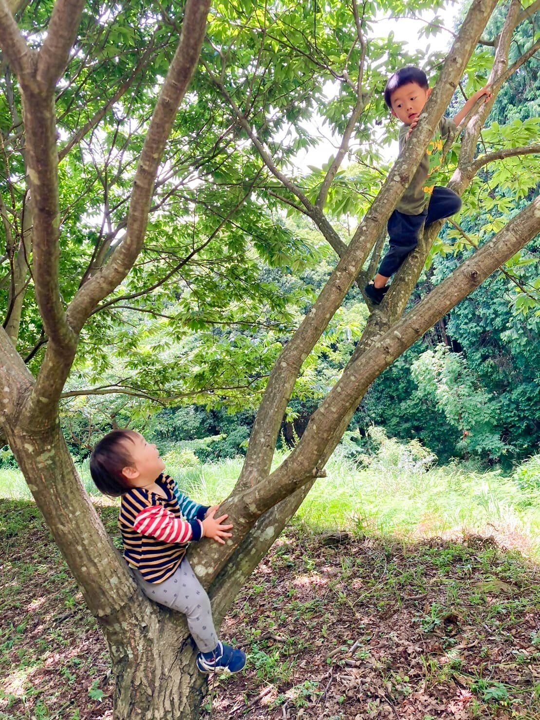 ASOBBAはらっぱの芸術学校