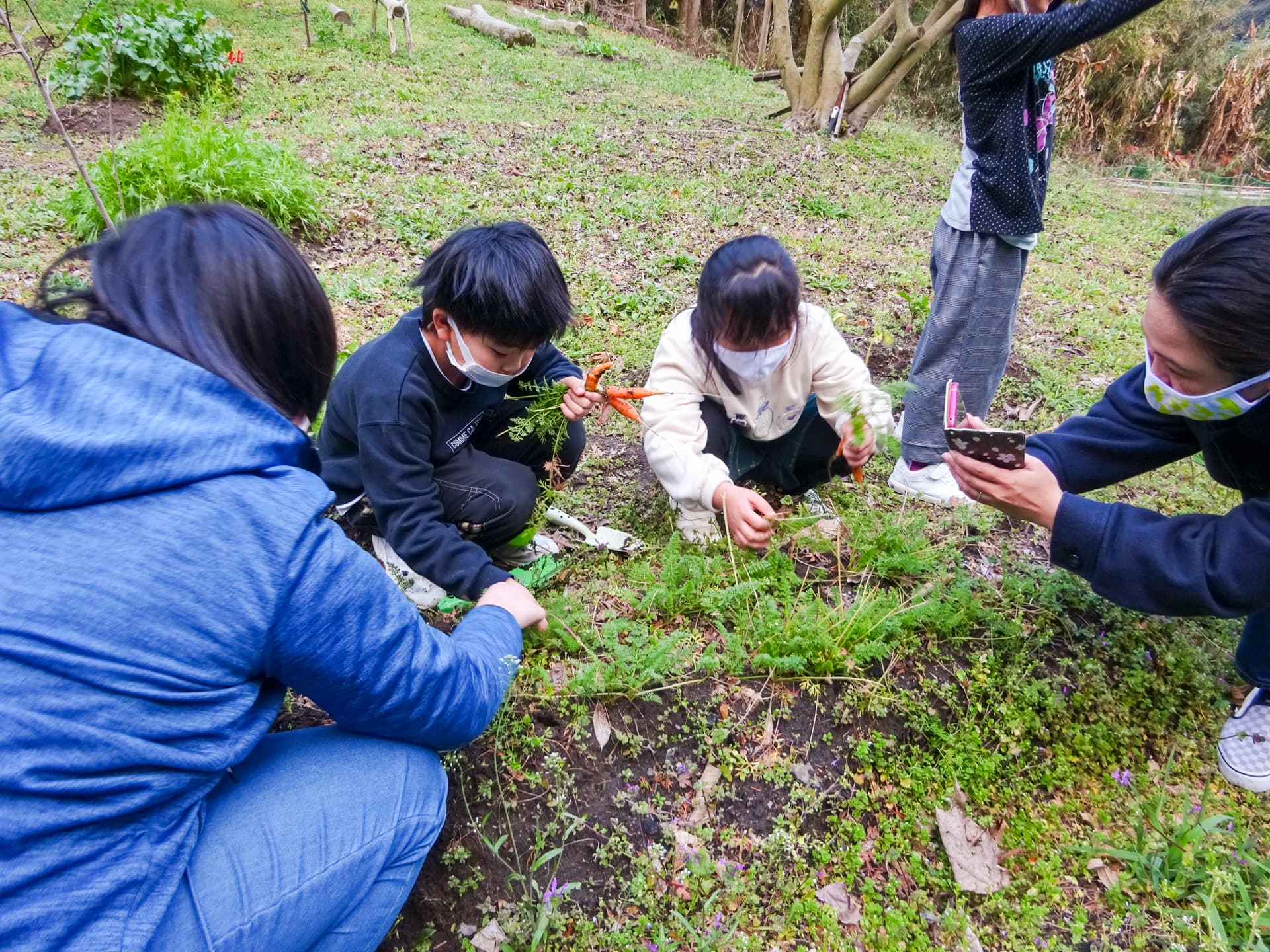 平田の里山