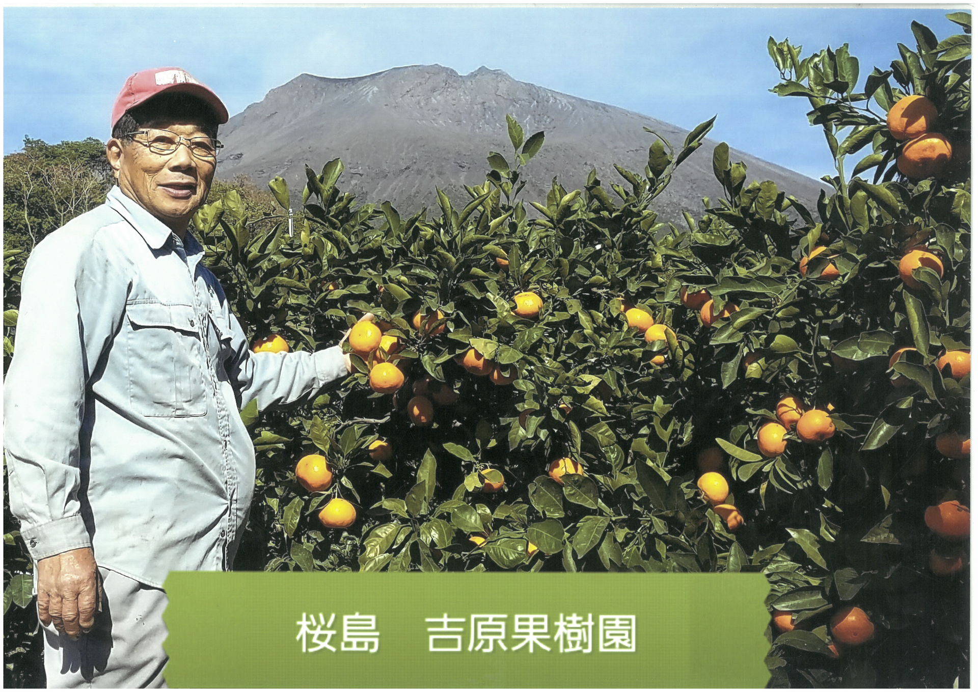 吉原果樹園
