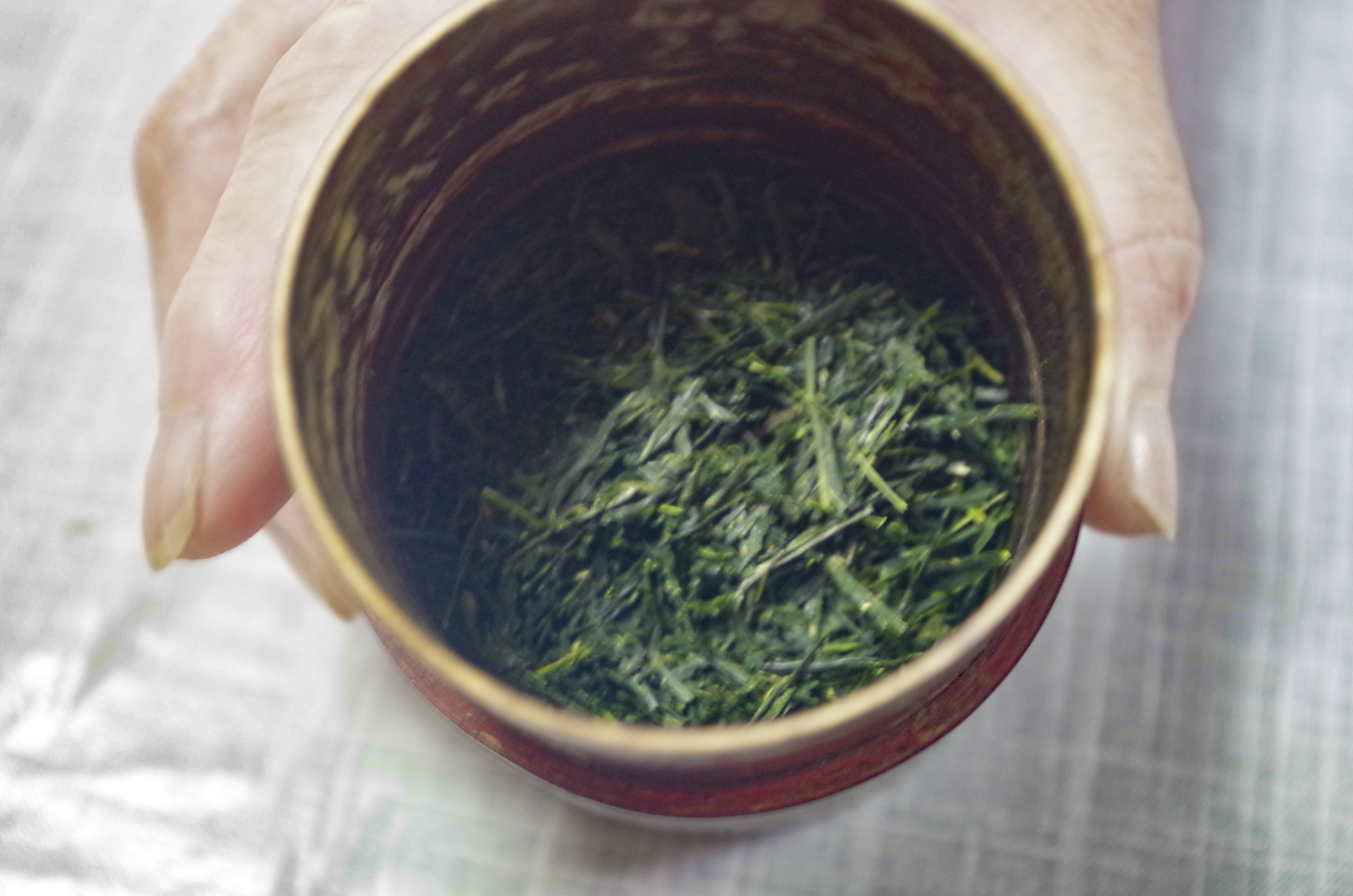 農家民宿　有村茶家