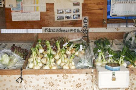 農産物直売所 より道