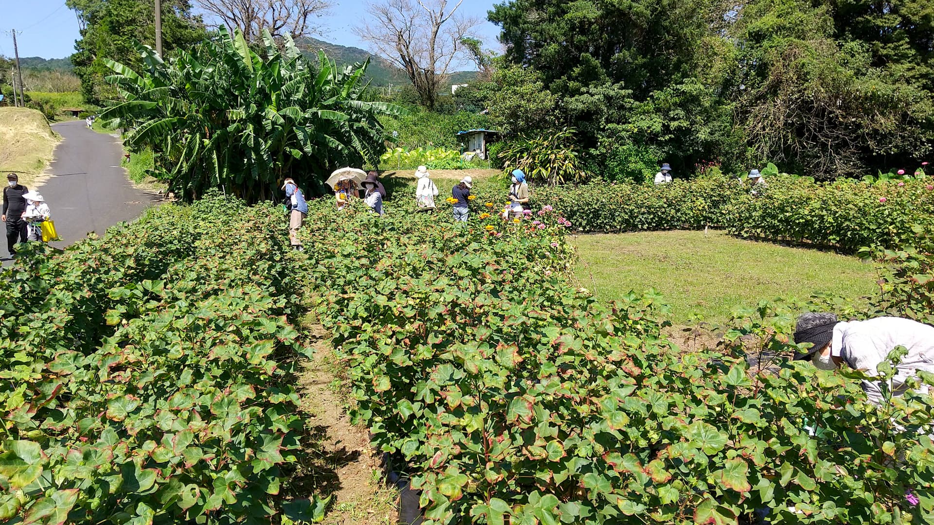 手織り工房わくわく本舗