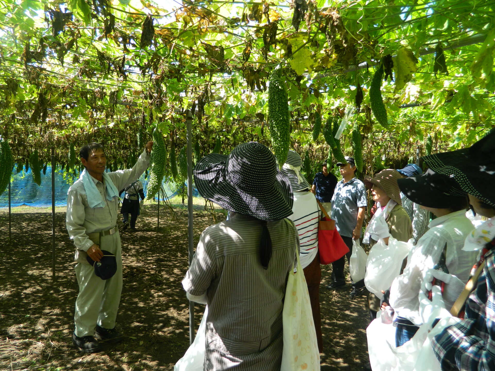 食の産地交流会