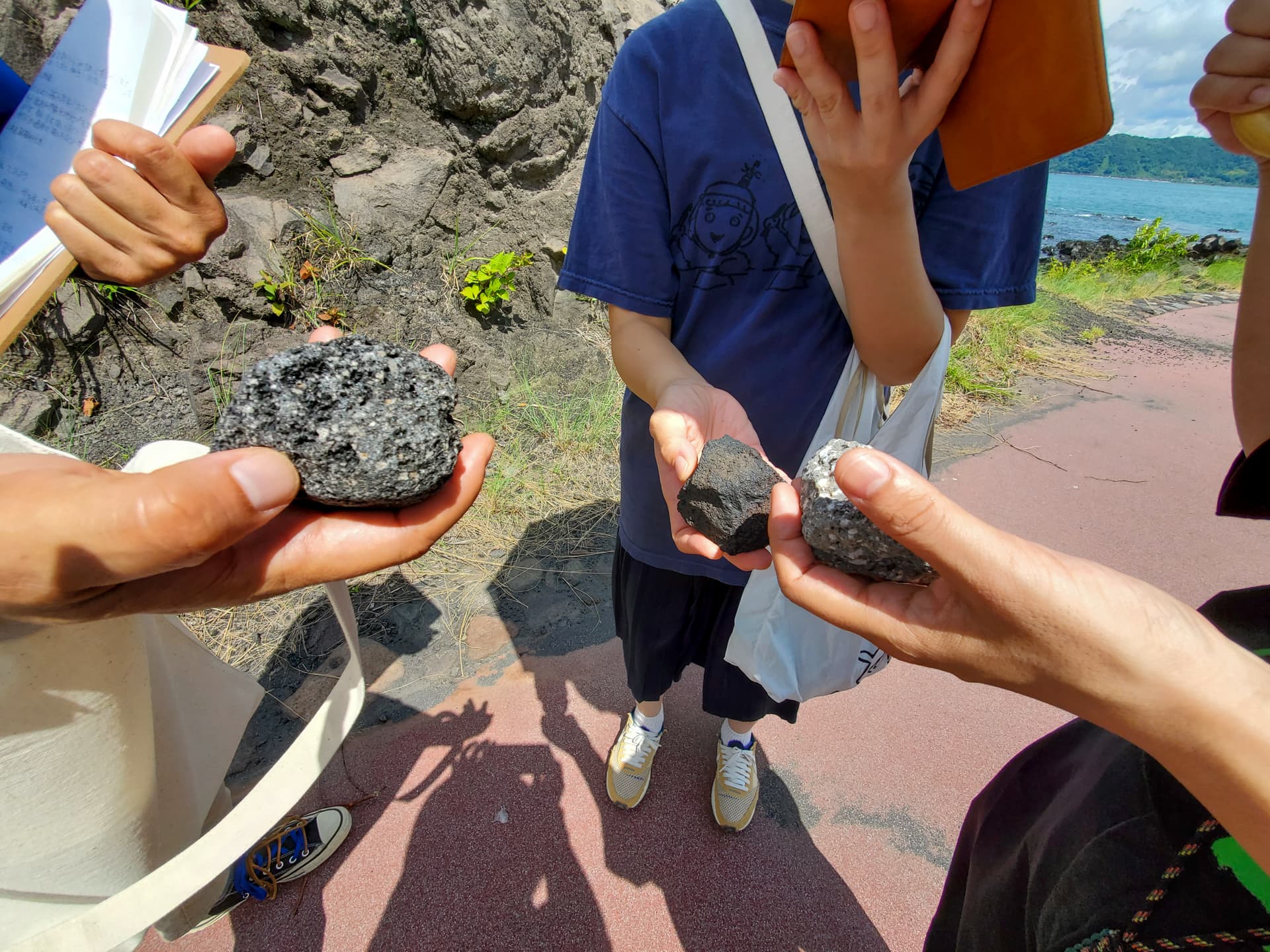 桜島ジオサルク