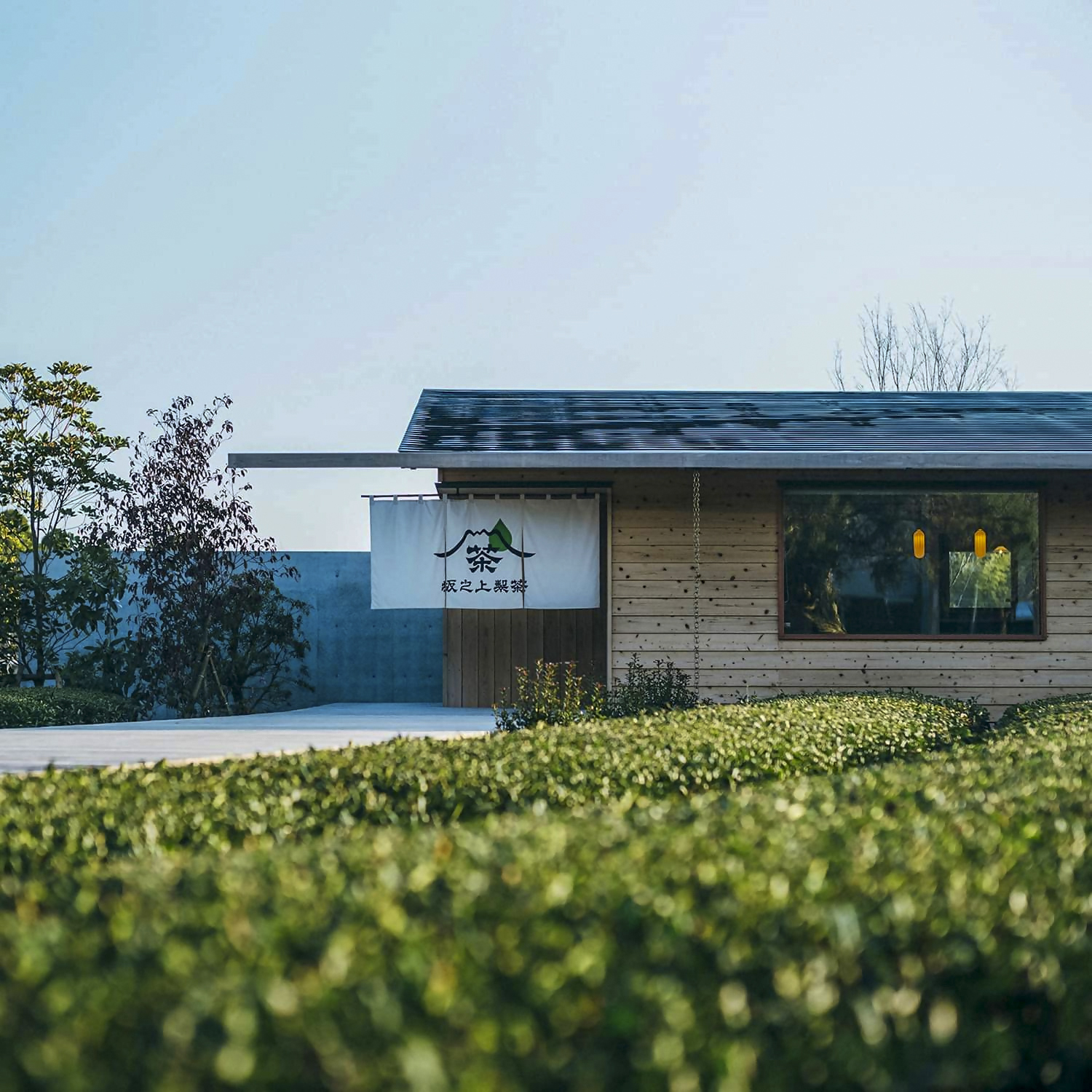 坂之上製茶
