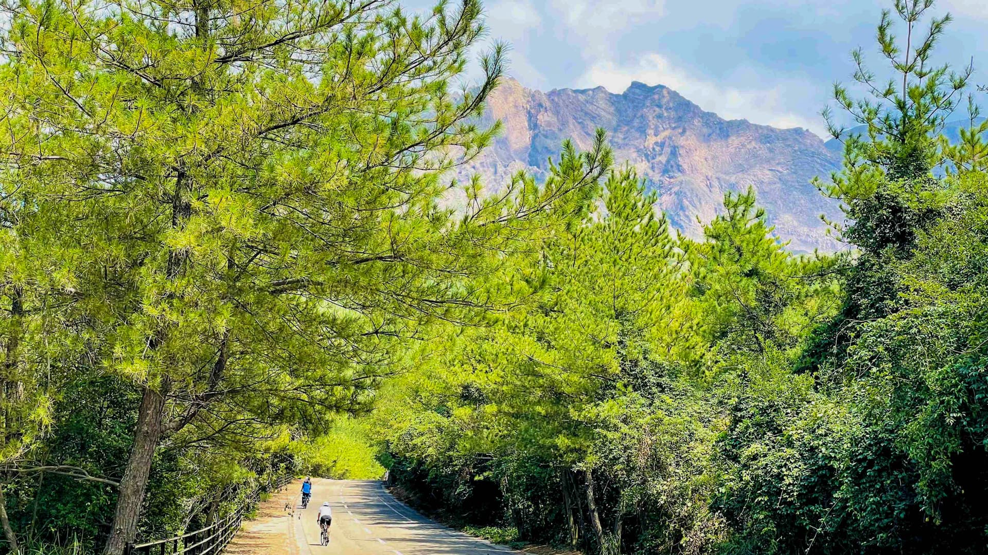 Volcano Life Journey