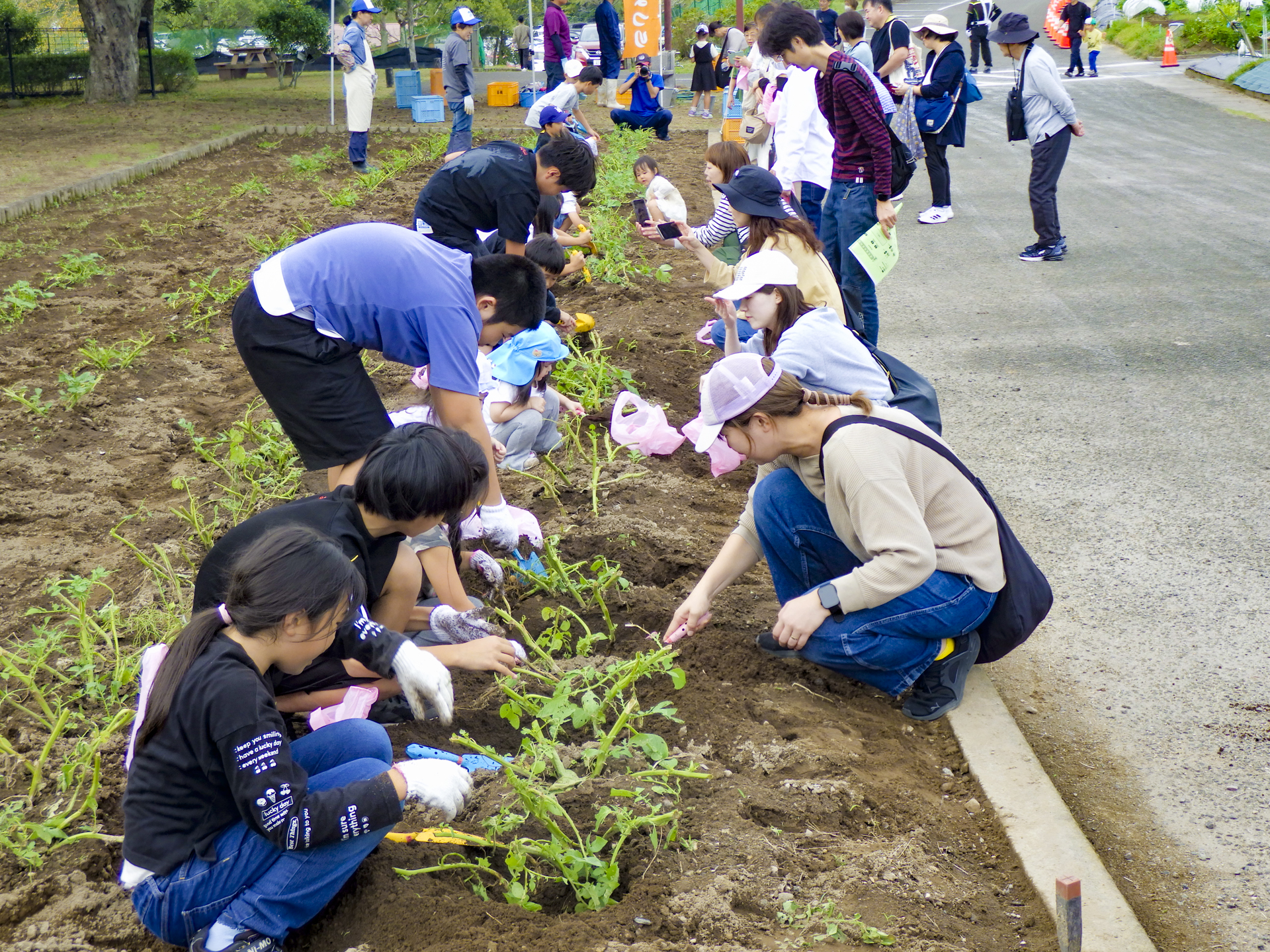 鹿児島市農林水産まつり
