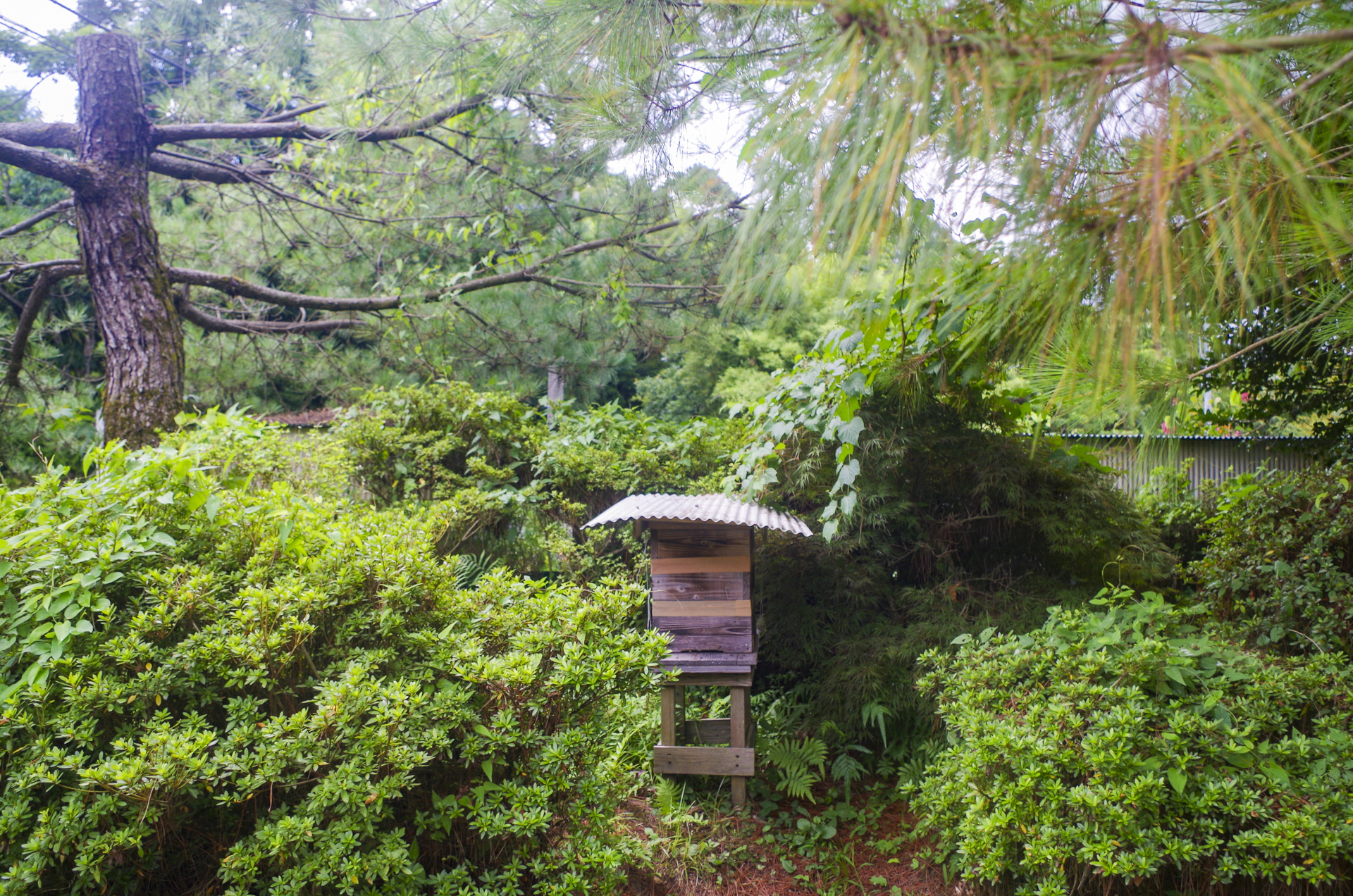 農家民宿　田の神さあ