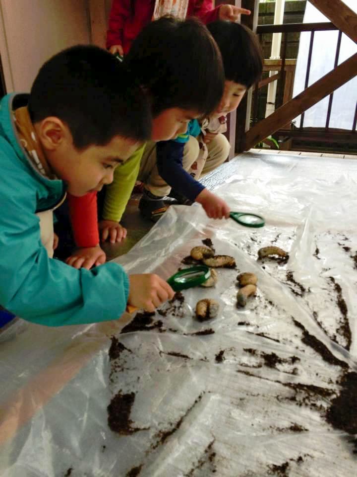 NPO法人かごしま子どもと自然研究所（かごしま森のようちえん）