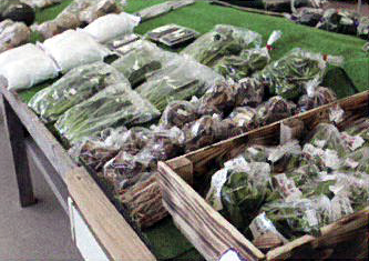 小山田ふれあい館