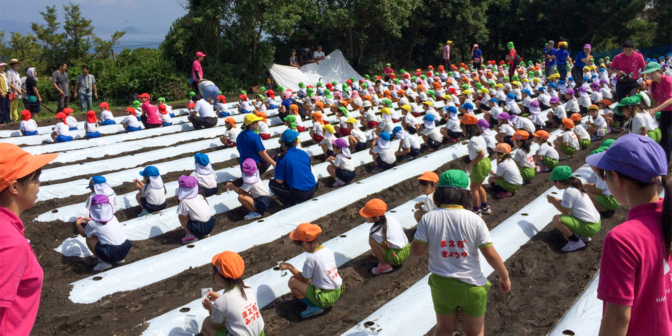 ファームランド櫻島