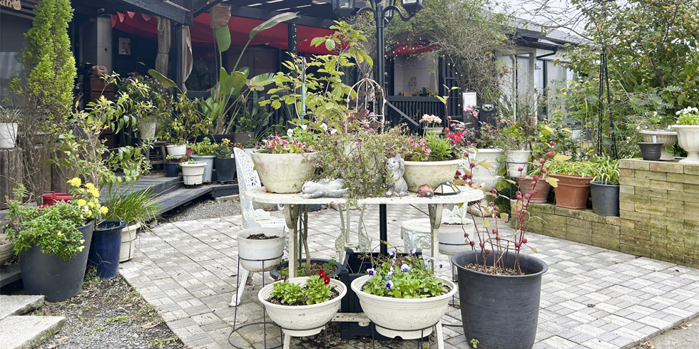 農家民宿ニャンバーワン