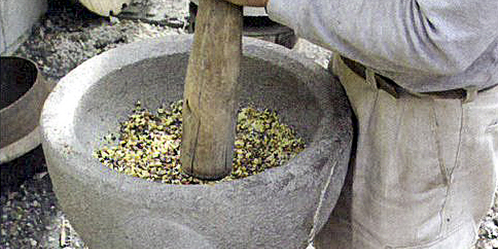 くろかみ椿の会　