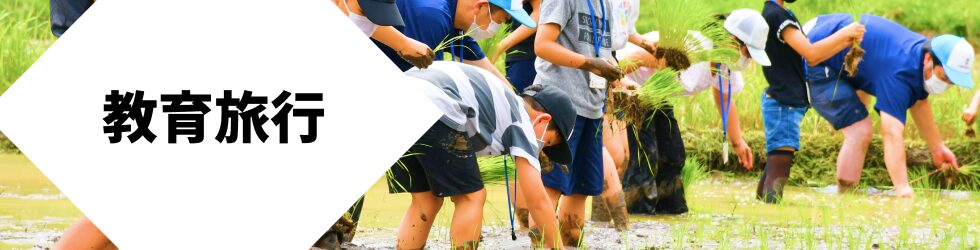 教育旅行