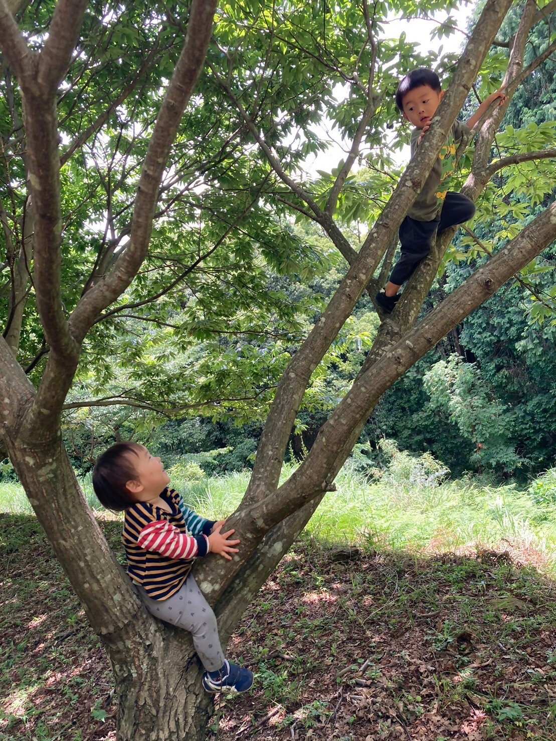 P9(ASOBBAはらっぱの芸術学校)