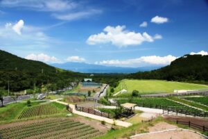 鹿児島市観光農業公園（グリーンファーム）