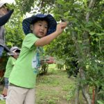 実りまるごと収穫体験事業
