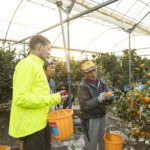 Volcano Life Journey